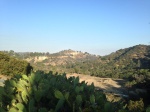mulholland drive cacti view