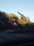 Mulholland with light and road sign