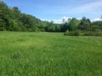 Vermont green field