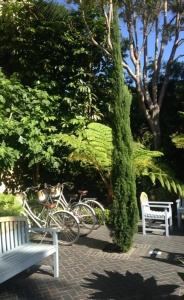 season of mist and mellow bikes at hotel